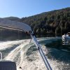 white tender yacht dinghy cruising on the water