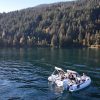 white tender yacht dinghy cruising on the water