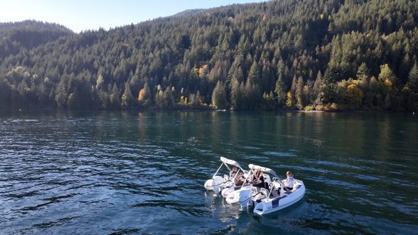 white tender yacht dinghy cruising on the water