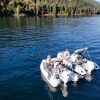 side by side white tenders yacht dinghy cruising on the water